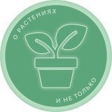 BogdaSHka 🍀о растениях и не только🍀
