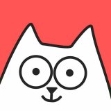 Котики