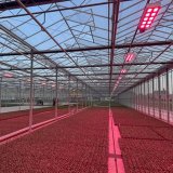FoodTech с Алексеем Курбанаевым