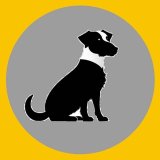 Товары из Китая оптом