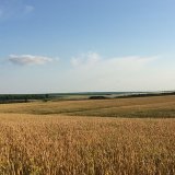 Байки уездного сада