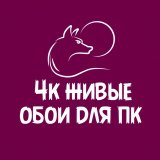 4к живые обои на пк и телефон