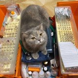 ЭКГ электрокардиография