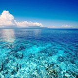 Море интереса🦑