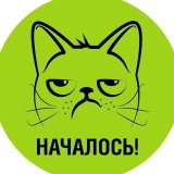 НАЧАЛОСЬ!