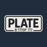 PLATE CHANNEL