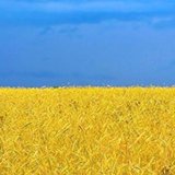 Політика Україна | Политика Украины