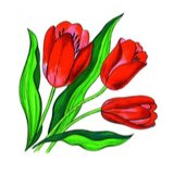 Цветы в Саду и Дома