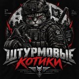 ШТУРМОVЫЕ КОТИКИ