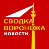 Сводка Воронежа | Новости