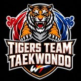 •°TIGERS TEAM°•
