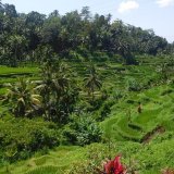 Tripsly | Visual Travel Blog & Itineraries