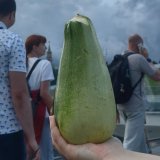 Где-то в Дребенях