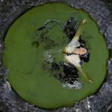 visual journal | фотография